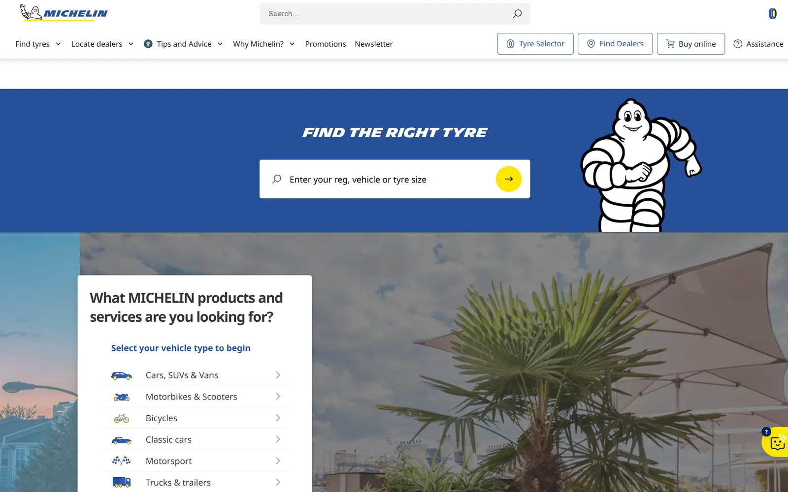 Michelin — case study preview